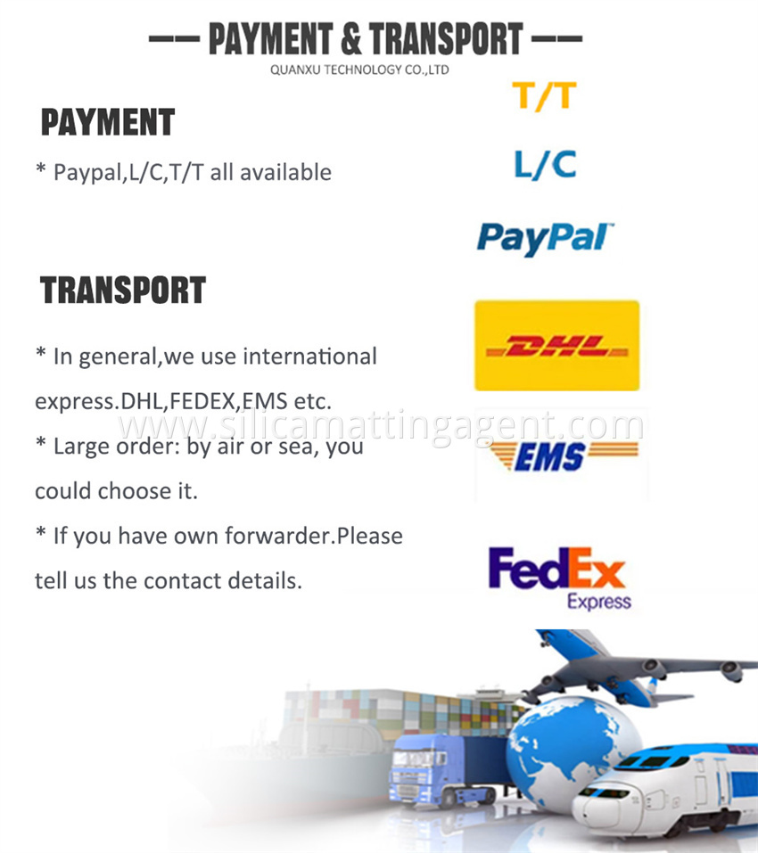 Payment Transport 1